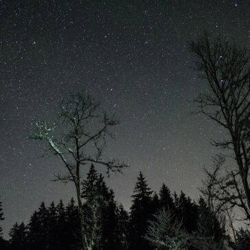 Nebeške radosti: Februarsko nočno nebo ponuja zvezdno predstavo